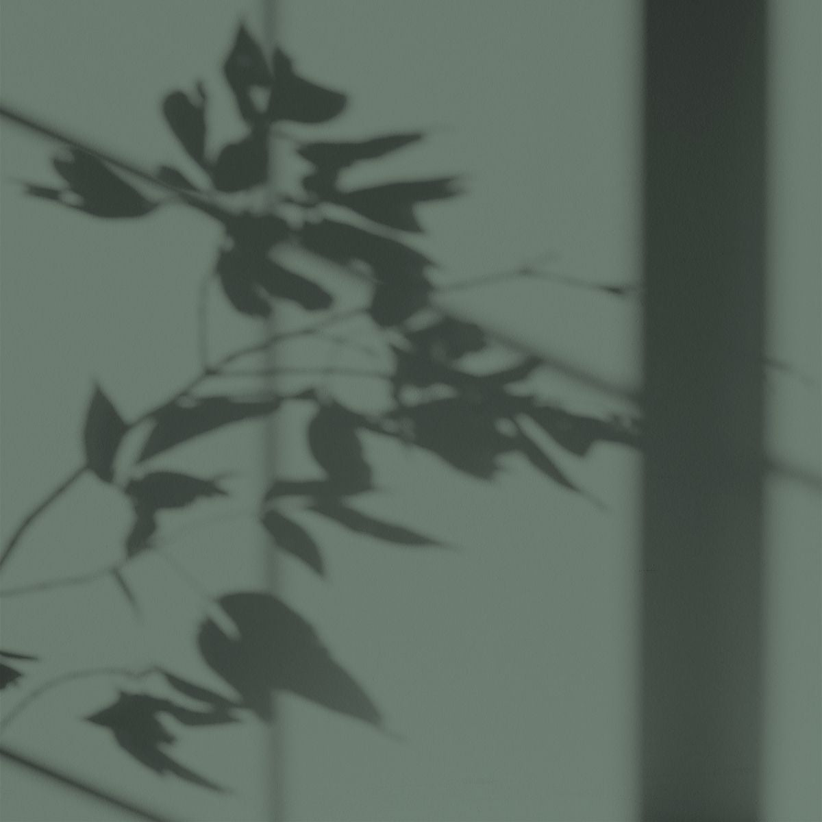 Algo Eco-Friendly Paint - Sequoia Green