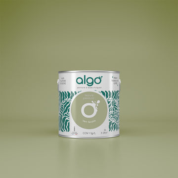 Algo Eco-Friendly Paint - Soft Green