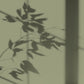 Algo Eco-Friendly Paint - Soft Green