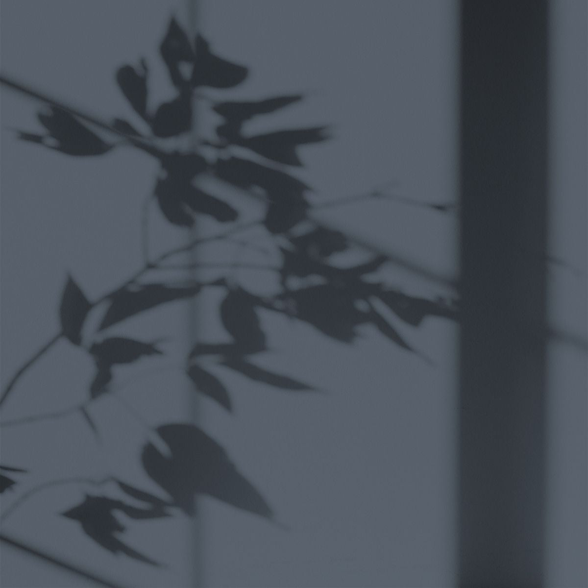 Algo Eco-Friendly Paint - Grey Visit to the Museum
