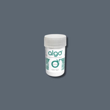 Algo Gray Eco-Friendly Paint Tester Museum Visit