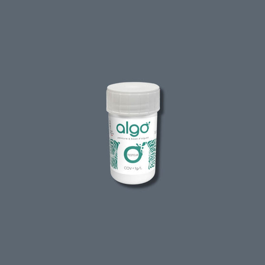 Algo Gray Eco-Friendly Paint Tester Museum Visit